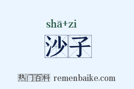 沙子是什么意思的图片